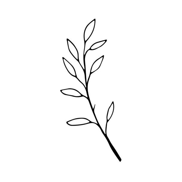 floral flower hand drawn doodle icon for social media story. Hand drawn wedding herb, plant - Vektori, kuva