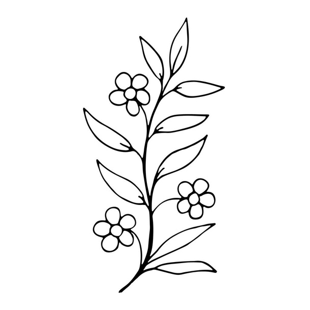 floral flower hand drawn doodle icon for social media story. Cute single hand drawn herbal element - Vector, Imagen
