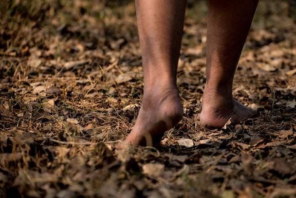 Κοντινό πλάνο γυναικών που περπατούν πάνω από στεγνά φύλλα με γυμνά πόδια - Φωτογραφία, εικόνα