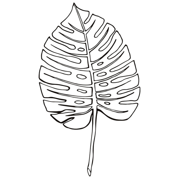 abstract tropical leaf isolated on white. Floral sketch. Social media story floral element - Vetor, Imagem