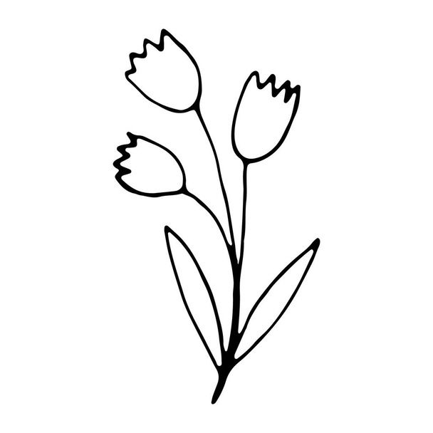 Цветочный цветок нарисовал иконку для истории в социальных сетях - Вектор,изображение
