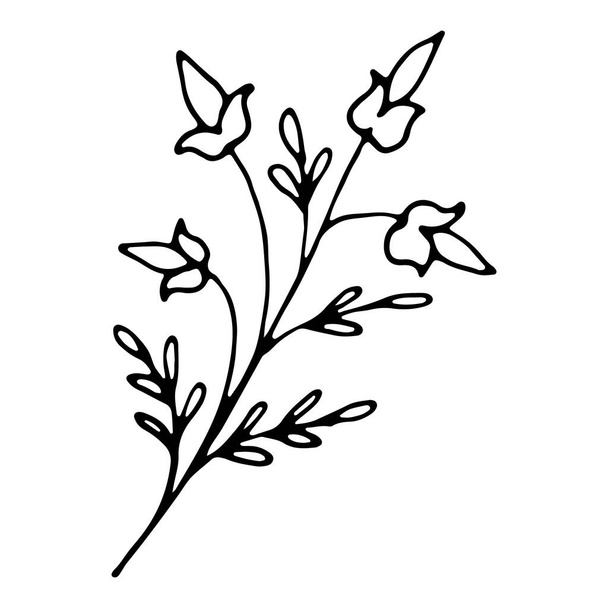 floral flower hand drawn doodle icon for social media story. Decoration element for design invitation, wedding cards, valentines day. - Vektör, Görsel