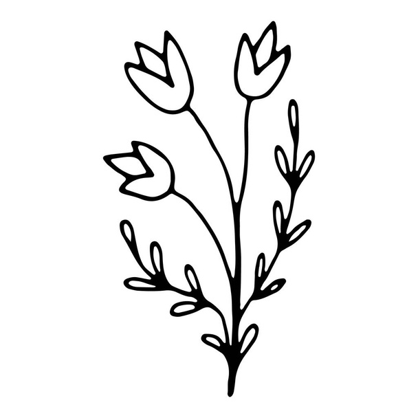 hand drawn natural element bell flower. floral flower hand drawn doodle icon for social media story - Vektör, Görsel