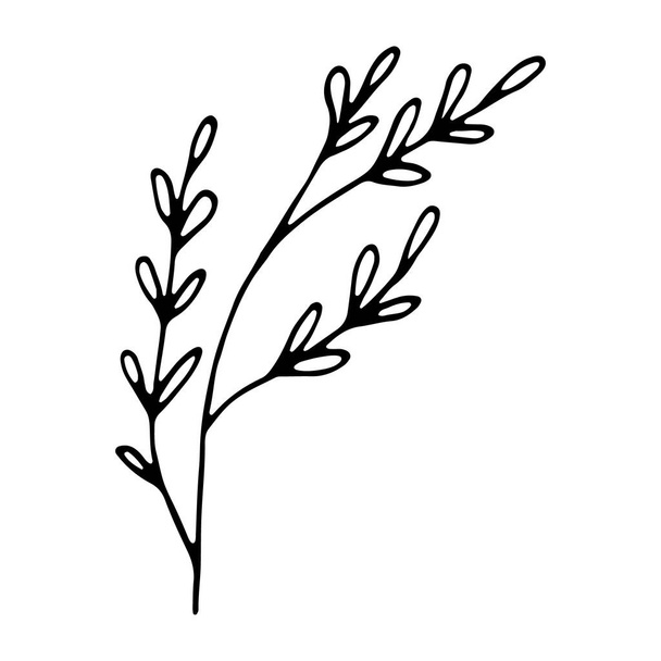 Floral hand drawn doodle icon for social media story. Ink drawn branch - Vektör, Görsel