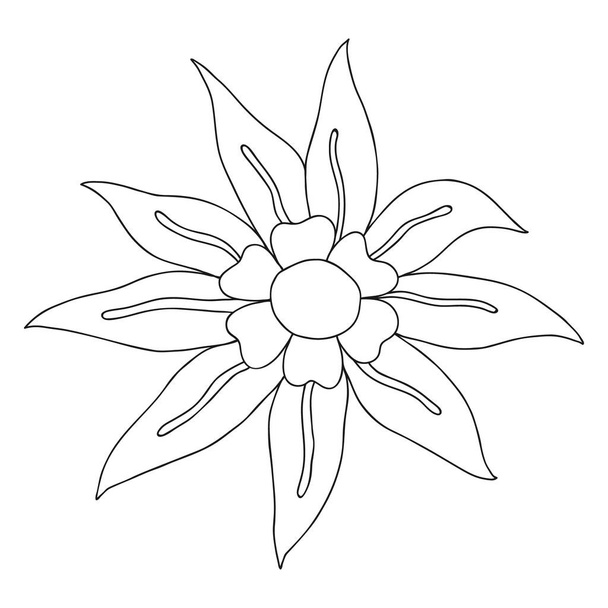 vector sketch illustration? Hand drawn flower doodle - Вектор,изображение
