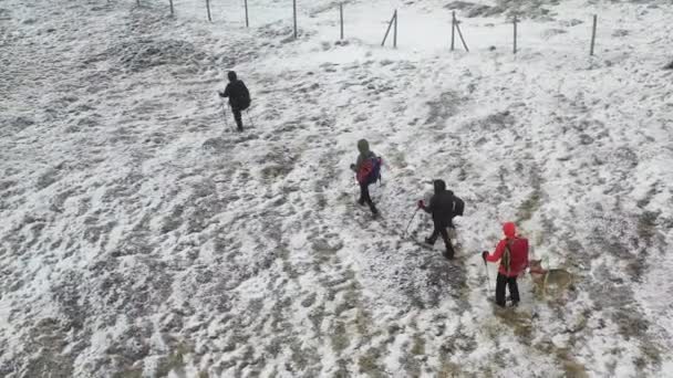 Wandelaars groeperen zich in een heidelandschap in de winter. Spanje, Europa. Luchtfoto 's. 4K.  - Video