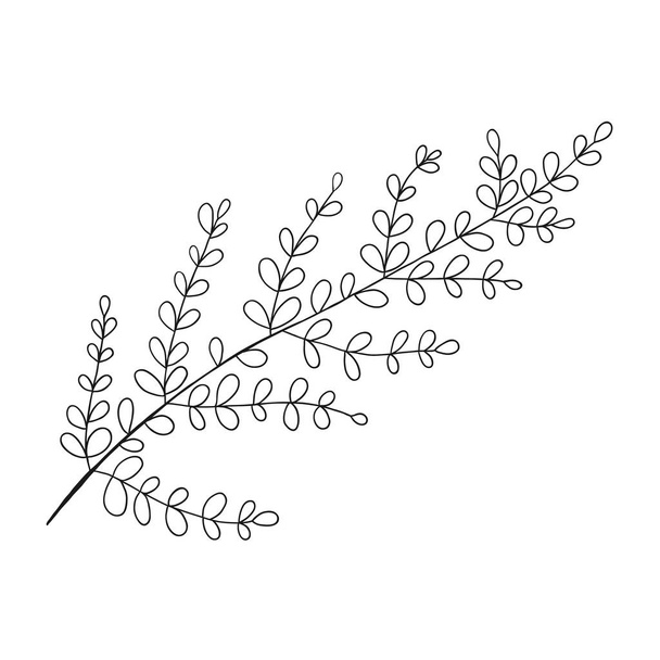 Botanical vector in line art or outline. Hand drawn wedding herb - Вектор, зображення