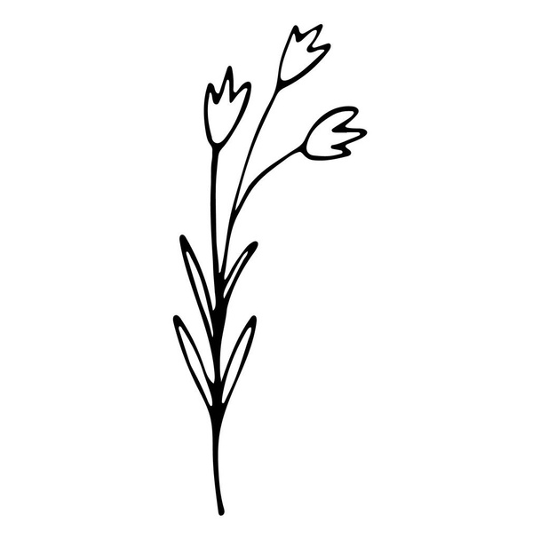 ręcznie rysowane naturalny element kwiat dzwonu. kwiat ręka narysowane ikona doodle dla mediów społecznościowych historia - Wektor, obraz