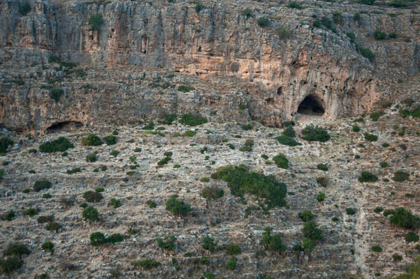 Vista desde Adamite Park a los paisajes montañosos de Galilea Occidental. - Foto, imagen