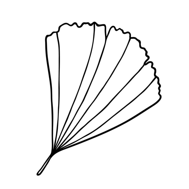 Χαριτωμένο χέρι ζωγραφισμένο φυτικό στοιχείο; Φύλλα γκίνγκο ζωγραφισμένα στο χέρι απομονωμένα σε λευκό - Διάνυσμα, εικόνα