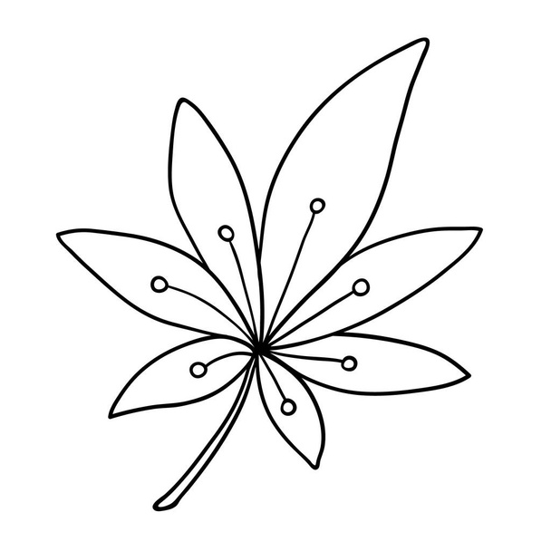 Söpö yhden käden piirretty kasviperäisten elementti - Vektori, kuva