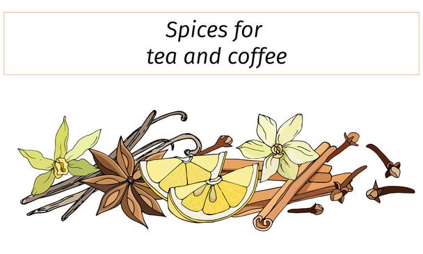 Una serie di spezie per bevande invernali calde: cannella, anice, limone e vaniglia. Illustrazione vettoriale isolata su sfondo bianco. - Vettoriali, immagini