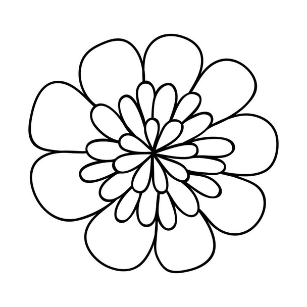 Icono de Doodle floral para la historia de las redes sociales. Manzanilla de garabato dibujada a mano - Vector, Imagen