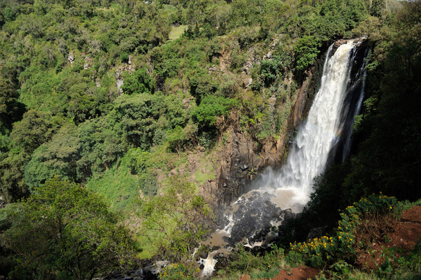 Thomson 's Falls, Kenia
 - Foto, Imagen