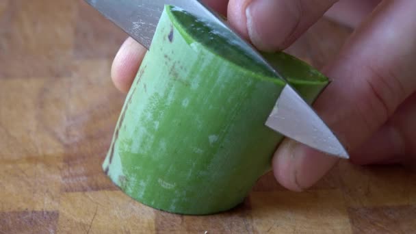 Aloe vera se krájí na malé kousky na dřevěné desce - Záběry, video