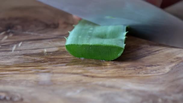 L'aloe vera viene tagliata in piccoli pezzi su una tavola di legno - Filmati, video