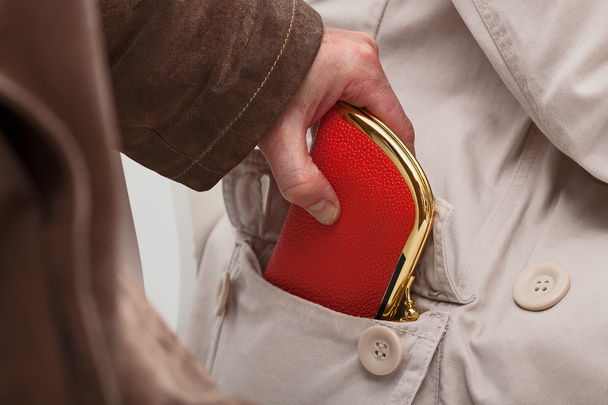 Pickpocket with wallet - Фото, изображение