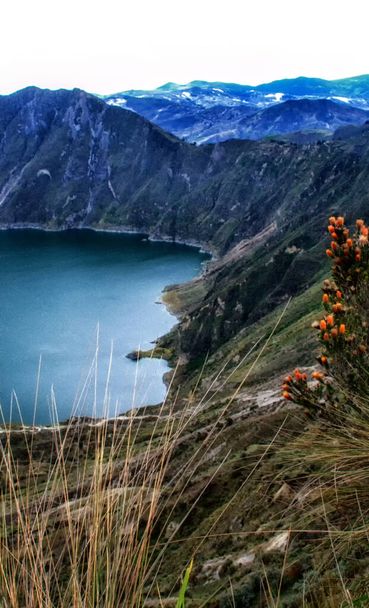Jest to 3 km szeroka kaldera wypełniona wodą i najbardziej zachodni wulkan w Andach Ekwadorskich. Wspaniałe widoki, turkusowa woda. Laguna Quilotoa jest miejscem turystycznym o rosnącej popularności. pomarańczowe kwiaty na pierwszym planie. Zapierające dech w piersiach widoki, Muszę zobaczyć w Ec - Zdjęcie, obraz