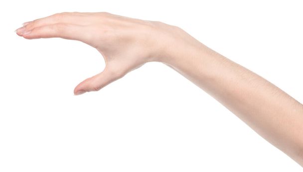 Manos caucásicas femeninas aisladas fondo blanco mostrando diferentes gestos. manos de mujer mostrando gesto sostiene algo o toma, da, puntos - Foto, imagen