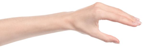 Nő kaukázusi kéz elszigetelt fehér háttér mutató különböző gesztusok. női kéz mutató gesztus tart valamit, vagy vesz, ad, pontokat - Fotó, kép