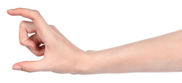 Жіночі білі руки ізольовані на білому тлі, що показують різні жести. жіночі руки, що показують жест, тримають щось або приймають, дають, бали
 - Фото, зображення
