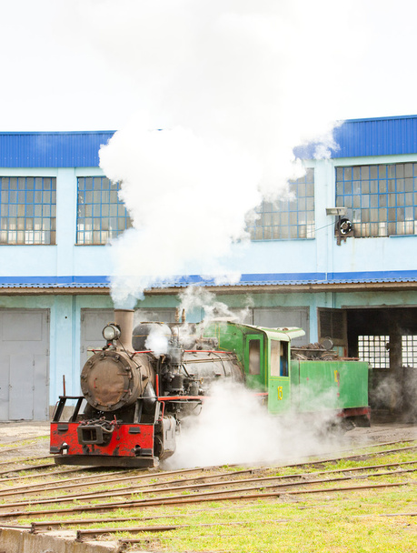 Locomotora de vapor en depósito
 - Foto, Imagen