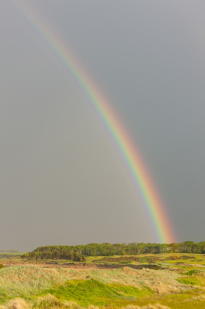 Rainbow over the golf course - Photo, Image