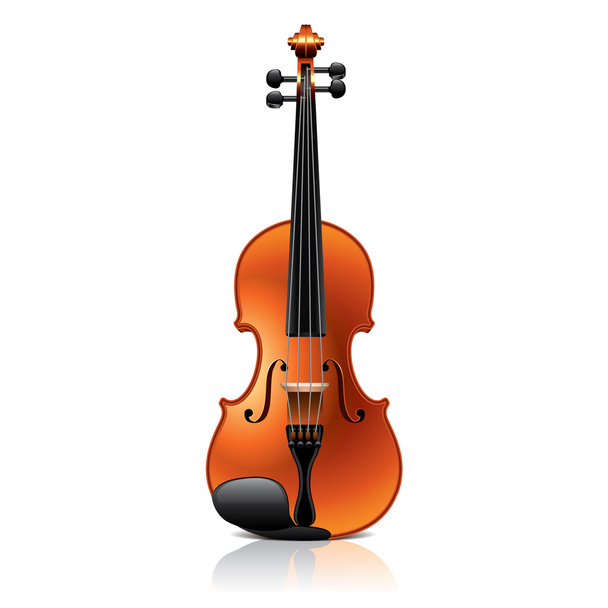 Classic violin vector illustration - Vector, Image