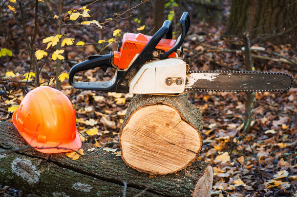 Lumberjack working tool chainsaw and helmet protection equipment on log in forest after work. - Photo, Image