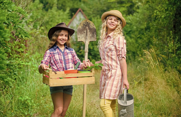 Summer at countryside. Gardens great place cultivate meaningful and fun learning experience for children. Kids girls with tools for gardening. Gardening basics. Gardening teaching life cycle process - Foto, afbeelding