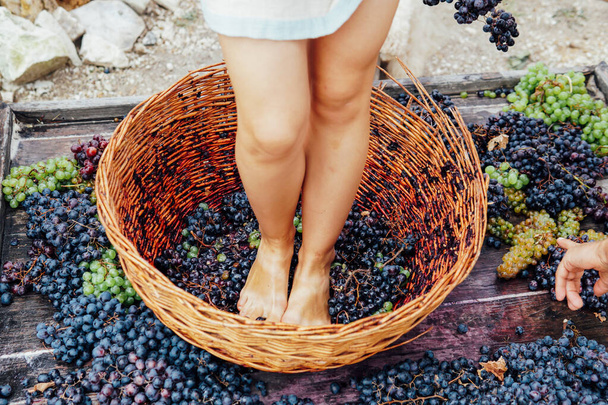 Woman crushes her feet to grapes to produce grape juice and wine - Foto, Imagen