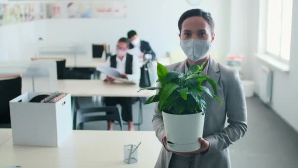 Ritratto medio di donna irriconoscibile che indossa una maschera protettiva sul viso in piedi nella stanza dell'ufficio che tiene la pianta della casa guardando la fotocamera - Filmati, video