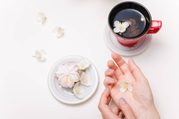 female hands, cup of jasmine tea, cake with sugar powder on plate on white table. - Photo, image