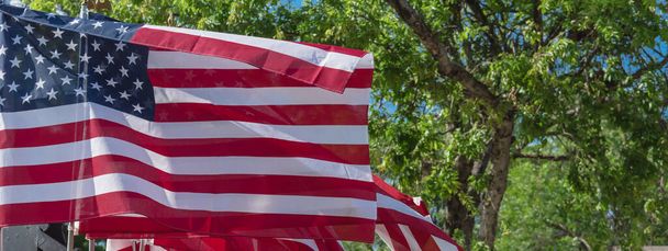 Vue panoramique vers le haut agitant des drapeaux américains avec un fond d'arbres verts lors d'une manifestation pacifique près de Dallas, Texas, Amérique. Marche fièrement, rassemblement, patriote, concept de protestation - Photo, image
