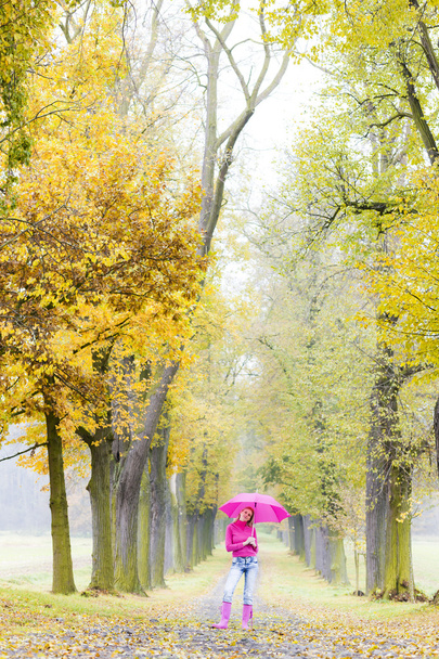 Femme portant des bottes en caoutchouc avec parapluie dans l'allée automnale
 - Photo, image