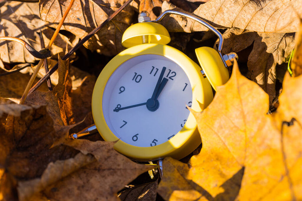 Un despertador enterrado en hojas de otoño. Cinco a doce. Concepto de cambio de temporada - Foto, Imagen