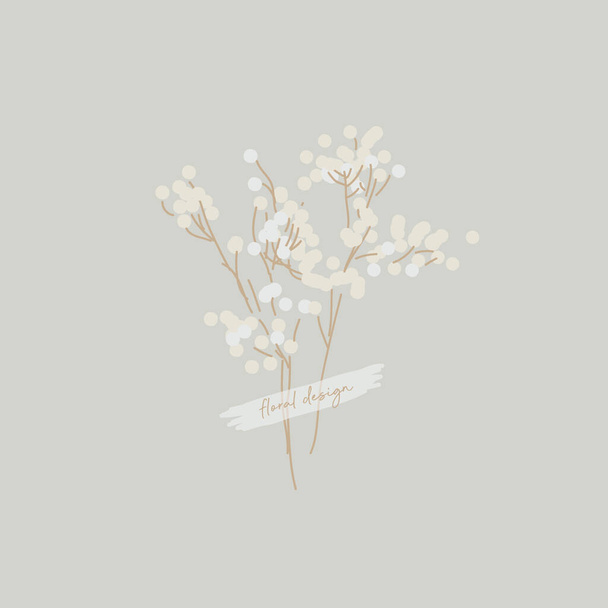 Dried flowers. Dry, white hydrangea. Botanical flowers. Delicate floristry. - Vektor, kép