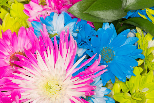 Układ piękne i kolorowe kwiaty; Bukiet wykonany z różnych kwiatów. - Zdjęcie, obraz
