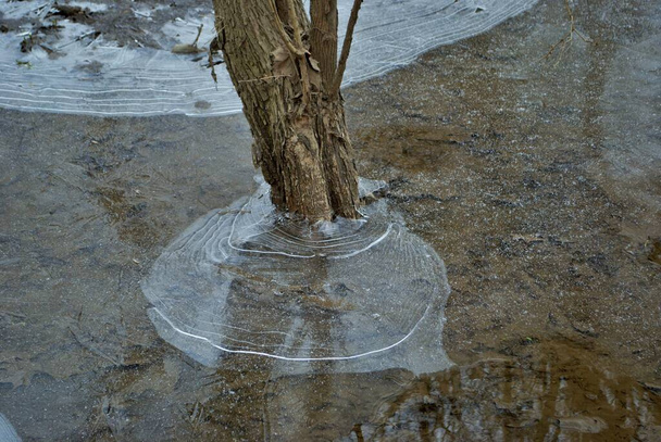 氷に覆われた森の冬の風景詳細を閉じる - 写真・画像