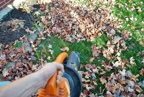 Sonbaharda yaprak üfleyicisi kullanan birinin bakış açısı - Fotoğraf, Görsel