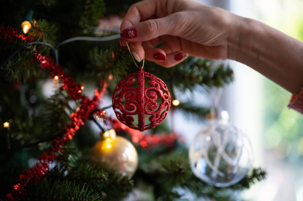 Closeup view of female hand hanging shiny red holiday bauble on christmas tree.  - Photo, Image