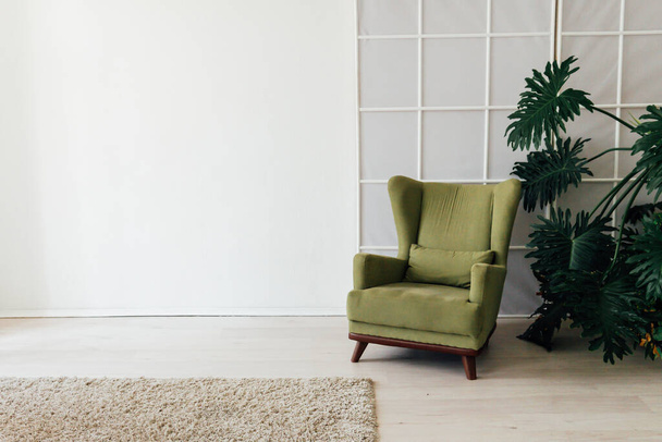 green chair with a plant in the interior of the white room - Fotoğraf, Görsel
