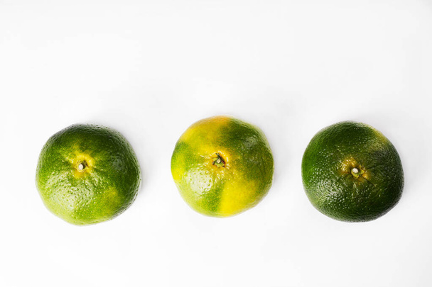 Three green tangerines on a white background. The color of tangerines is yellow and green. New Year's fruit. Unripe tangerine. Fruit for the Christmas holidays. - Foto, Imagem