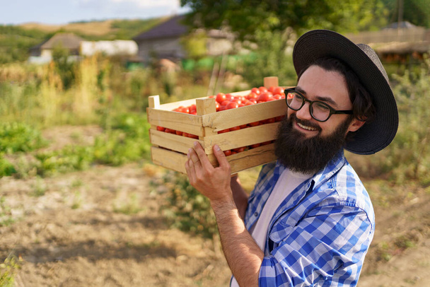 Boer met verse verzamelde tomaten op zijn schouder lopen - Foto, afbeelding
