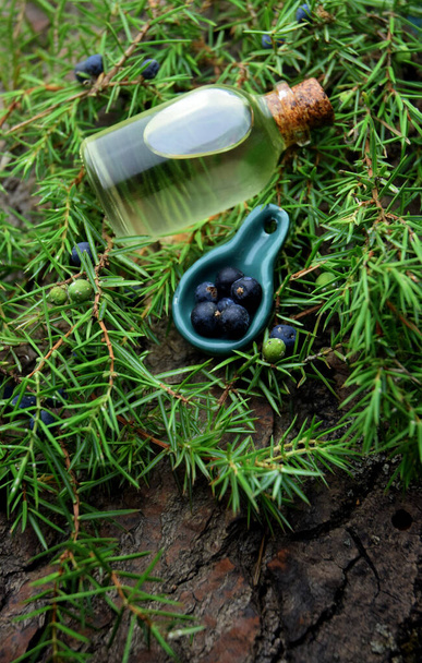 Αρωματοθεραπευτικό έλαιο Juniperus bio roganic - Φωτογραφία, εικόνα