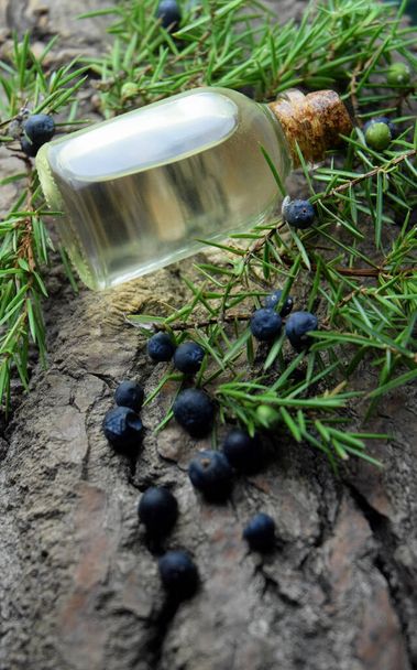 Juniperus olie aromatherapie bio roganisch - Foto, afbeelding