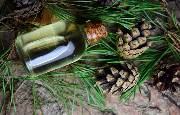 Pine aroma olaj spa bio szerves - Fotó, kép