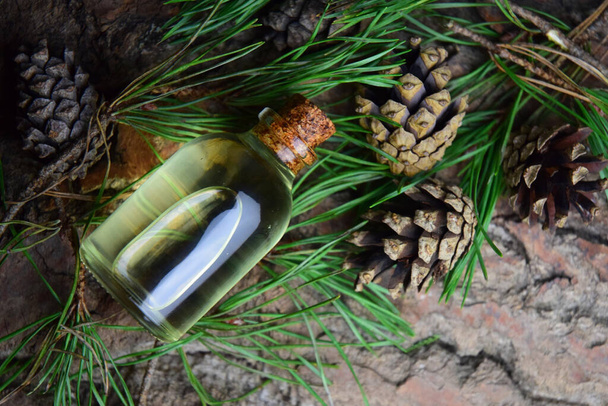 Pine aroma olaj spa bio szerves - Fotó, kép