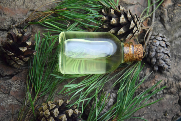 Pine aroma oil spa bio organic - Foto, imagen