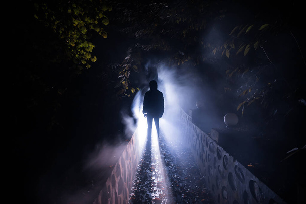 Silueta de persona de pie en el bosque oscuro con luz. Concepto de Halloween de horror. extraña silueta en un oscuro bosque espeluznante por la noche - Foto, Imagen
